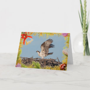 Osprey in the nest on a Christmas Card