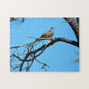 Osprey in the wild jigsaw puzzle