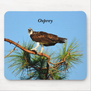 Osprey in the wild mouse mat