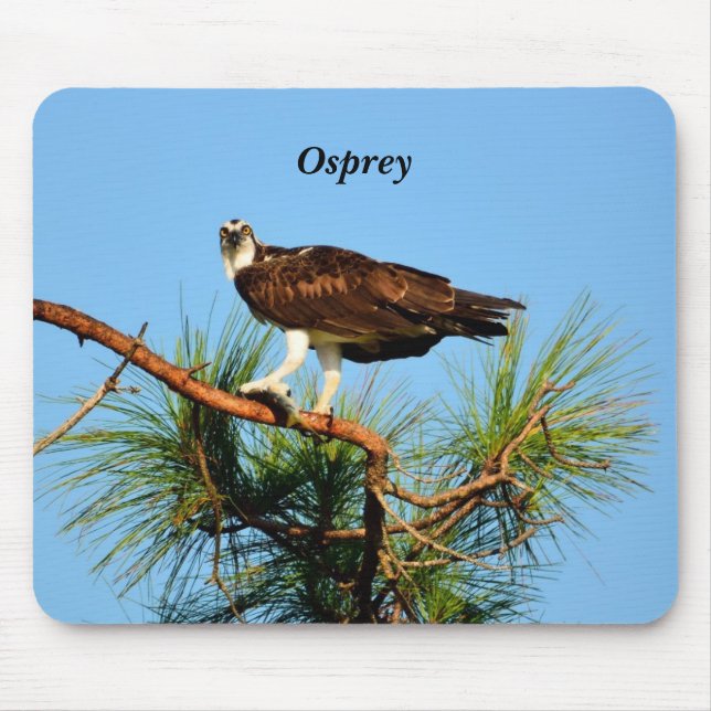 Osprey in the wild mouse mat (Front)
