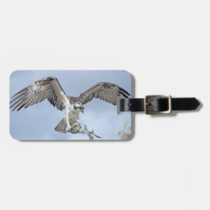 Osprey Luggage Tag