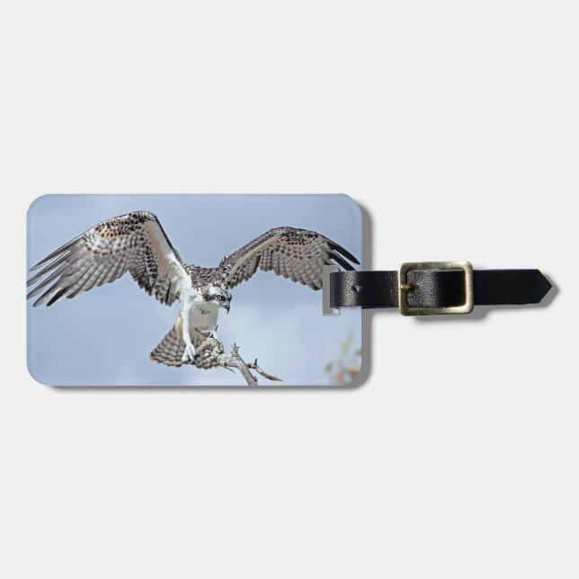 Osprey Luggage Tag (Front Horizontal)