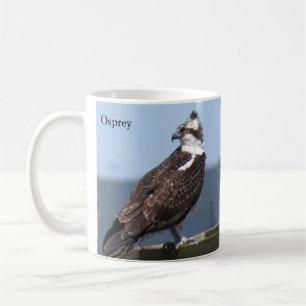 Osprey Mug by BirdingCollectibles