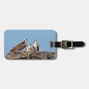 Osprey mum with her kids luggage tag