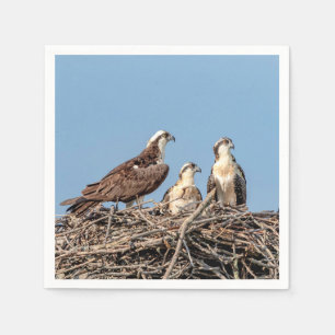 Osprey mum with her kids napkin