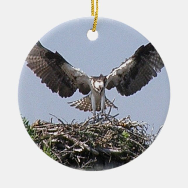 Osprey Nest Ornament (Front)