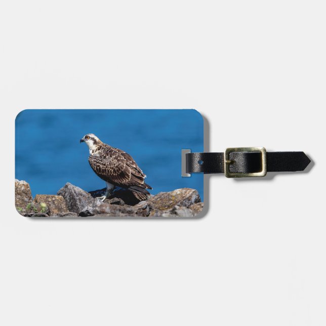 Osprey on the rocks luggage tag (Front Horizontal)