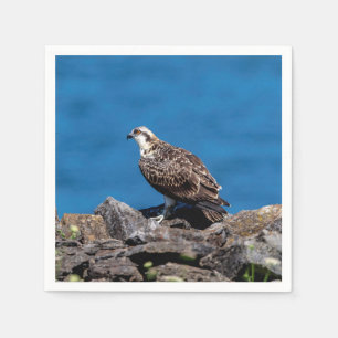 Osprey on the rocks napkin