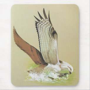 Osprey - Pandion haliaetus Mouse Mat