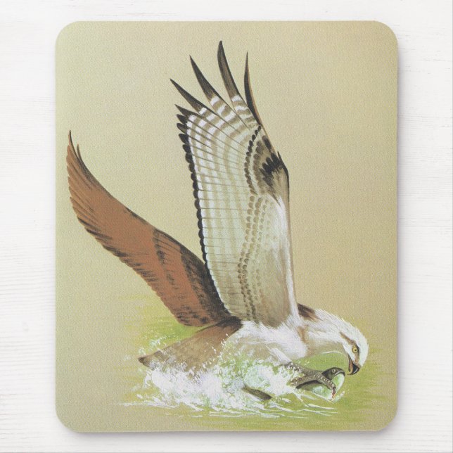 Osprey - Pandion haliaetus Mouse Mat (Front)
