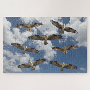 Osprey parade in the sky   jigsaw puzzle