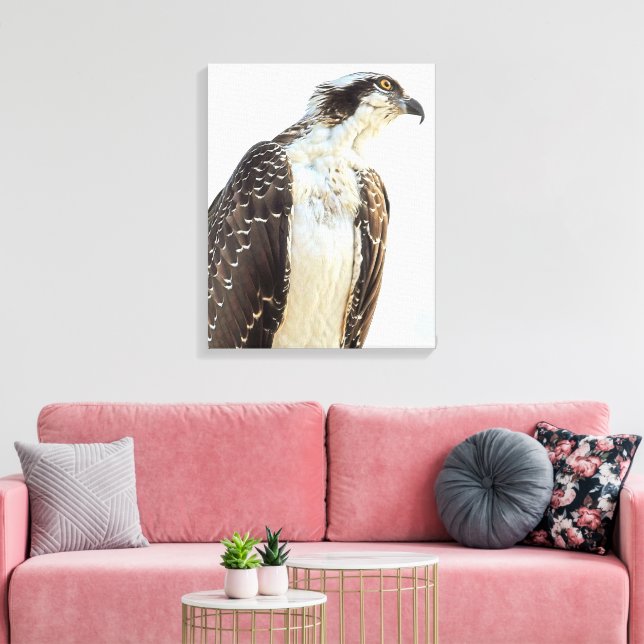 Osprey Profile Wrapped Canvas (Insitu(LivingRoom))