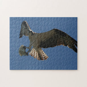 Osprey Raptor Bird Fish Wildlife Animal Sea Puzzle