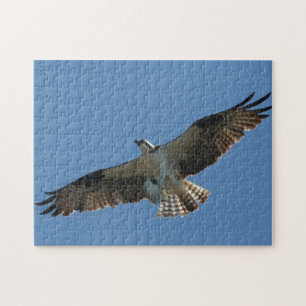 Osprey Raptor Bird Fish Wildlife Animal Sea Puzzle