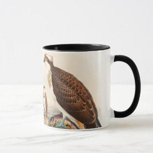 Osprey Sea Hawk John Gould Birds of Great Britain Mug