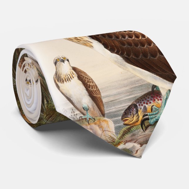 Osprey Sea Hawk John Gould Birds of Great Britain Tie (Rolled)