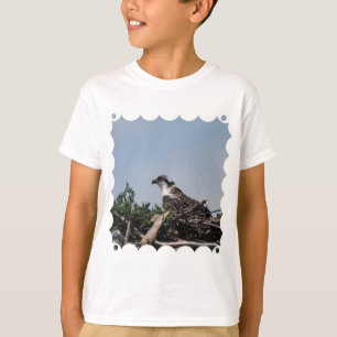Osprey Sitting on Nest Youth T-Shirt