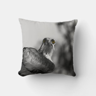 Osprey Staring down the Camera - Wildlife Photo Cushion