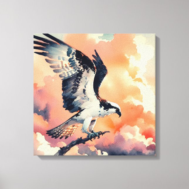 Osprey Stretches Canvas Print (Front)