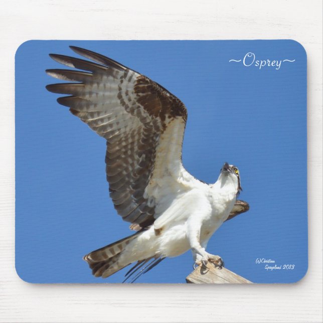 Osprey stretching wings Mousepad (Front)