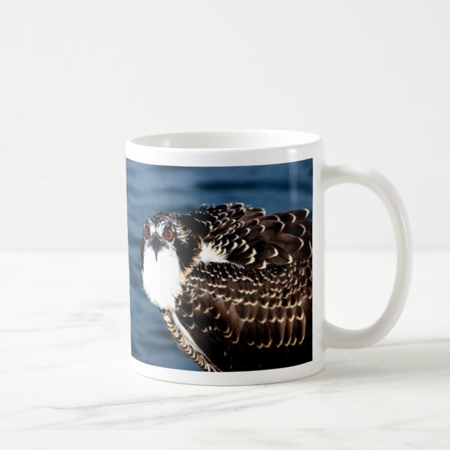 Osprey, Tilghman Island, Dogwood Harbour, Maryland Coffee Mug (Right)