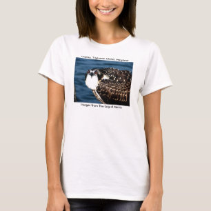 Osprey, Tilghman Island, Dogwood Harbour, Maryland T-Shirt