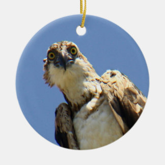 Osprey Watching Ceramic Tree Decoration