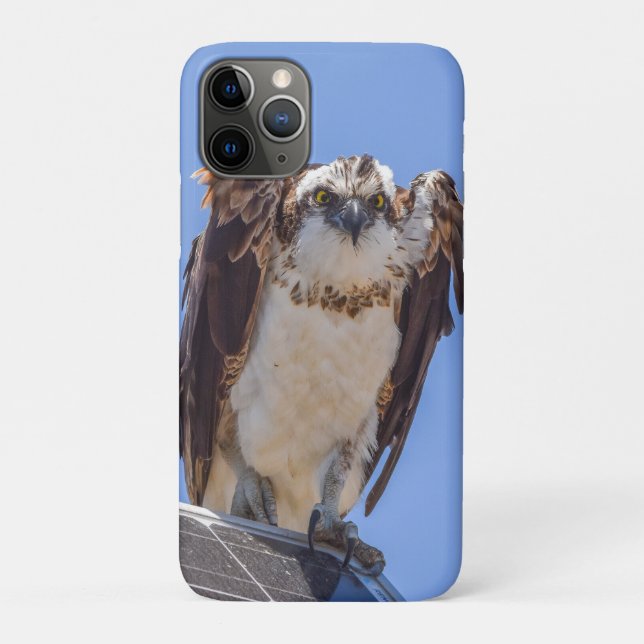 Osprey Wildlife Photography iPhone Case Bird Art (Back)