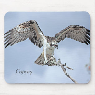 Osprey Wingspan Mousepad