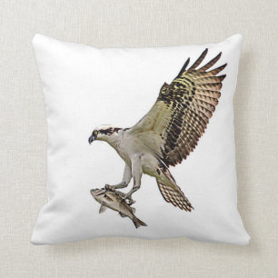 Osprey with a fish cushion