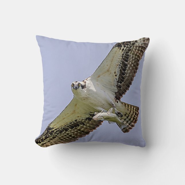 Osprey with a fish cushion (Front)
