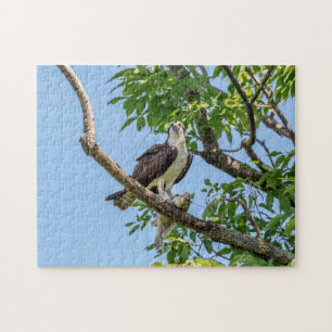 Osprey with a fish jigsaw puzzle