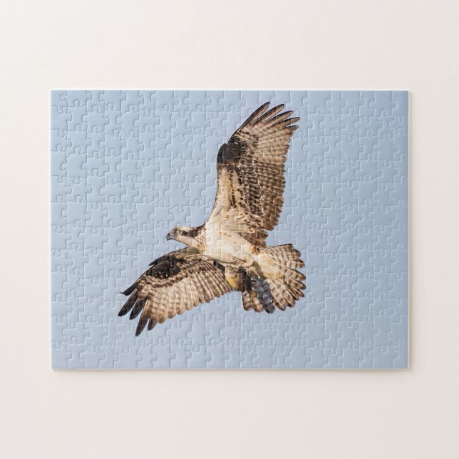 Osprey with a fish jigsaw puzzle (Horizontal)
