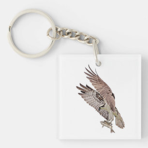 Osprey with a fish key ring