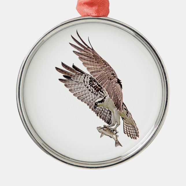 Osprey with a fish metal tree decoration (Front)