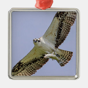 Osprey with a fish metal tree decoration