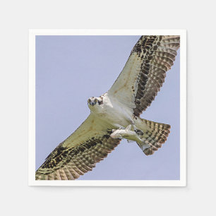 Osprey with a fish napkin