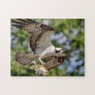 Osprey with a fish jigsaw puzzle