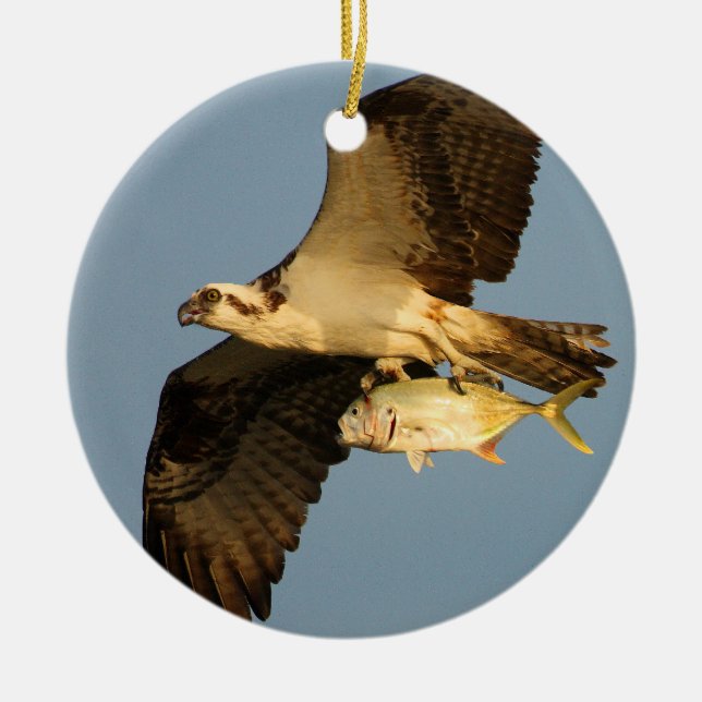 osprey with fish ceramic tree decoration (Front)