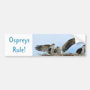Ospreys Rule Bumper Sticker