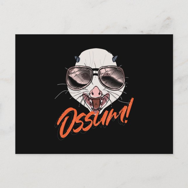 Ossum Possum Opossum Gopher Postcard (Front)
