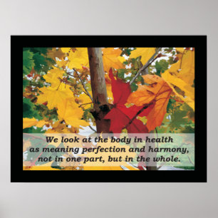 Osteopathic Harmony Quote by A.T. Still Poster