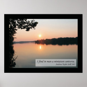 Osteopathic Quotes and Sayings Health Poster