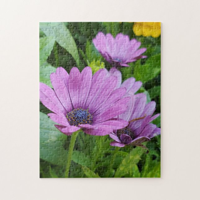 Osteospermum daisy jigsaw puzzle (Vertical)