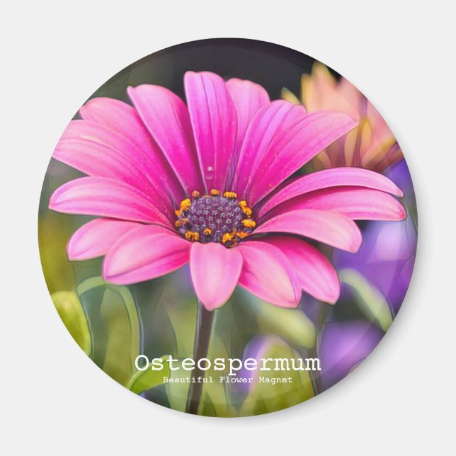 Osteospermum Magnet (Front)