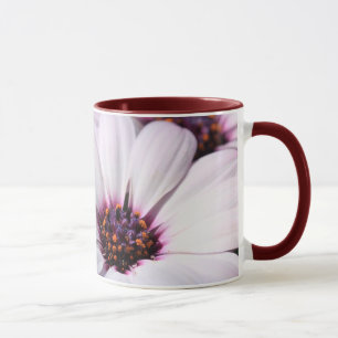 Osteospermum Mug