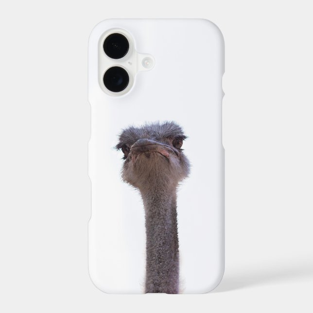ostrich (Back)