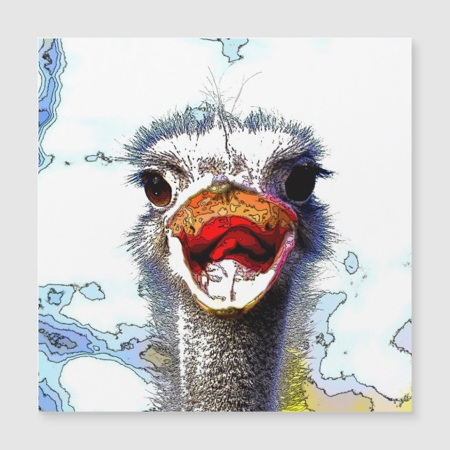 Ostrich20150701 (Front)