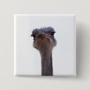 ostrich 15 cm square badge