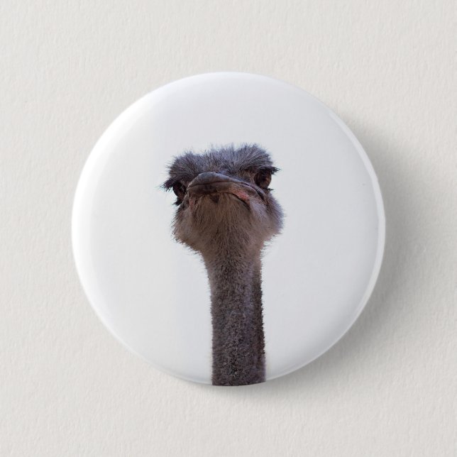 ostrich 6 cm round badge (Front)